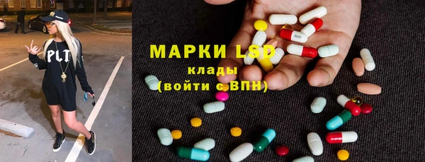 PSILOCYBIN Иннополис